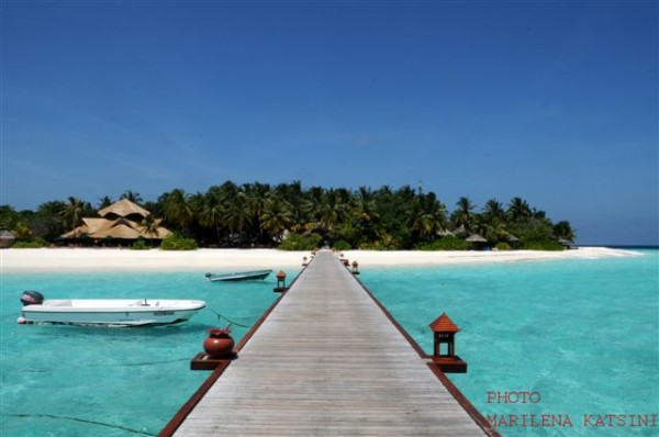 banyan_tree
